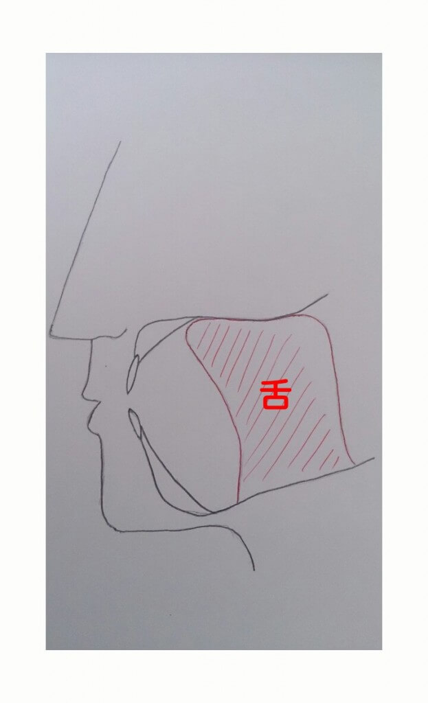 sketch-1429928735813